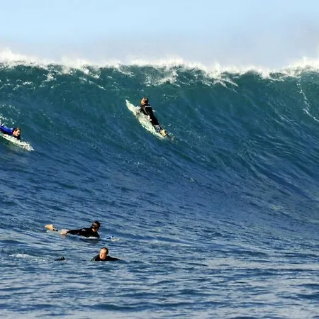 Tarmarplace Jardim do Mar