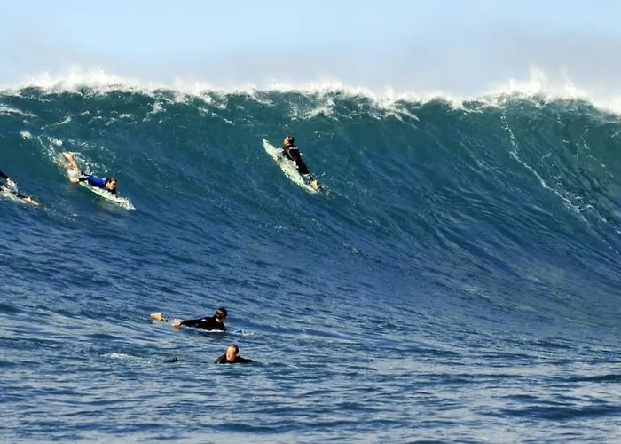 Tarmarplace Jardim do Mar